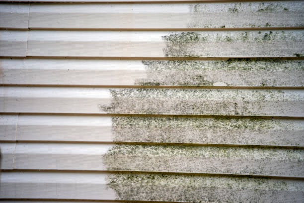 Best Residential Vinyl Siding Installation  in Rson, CA